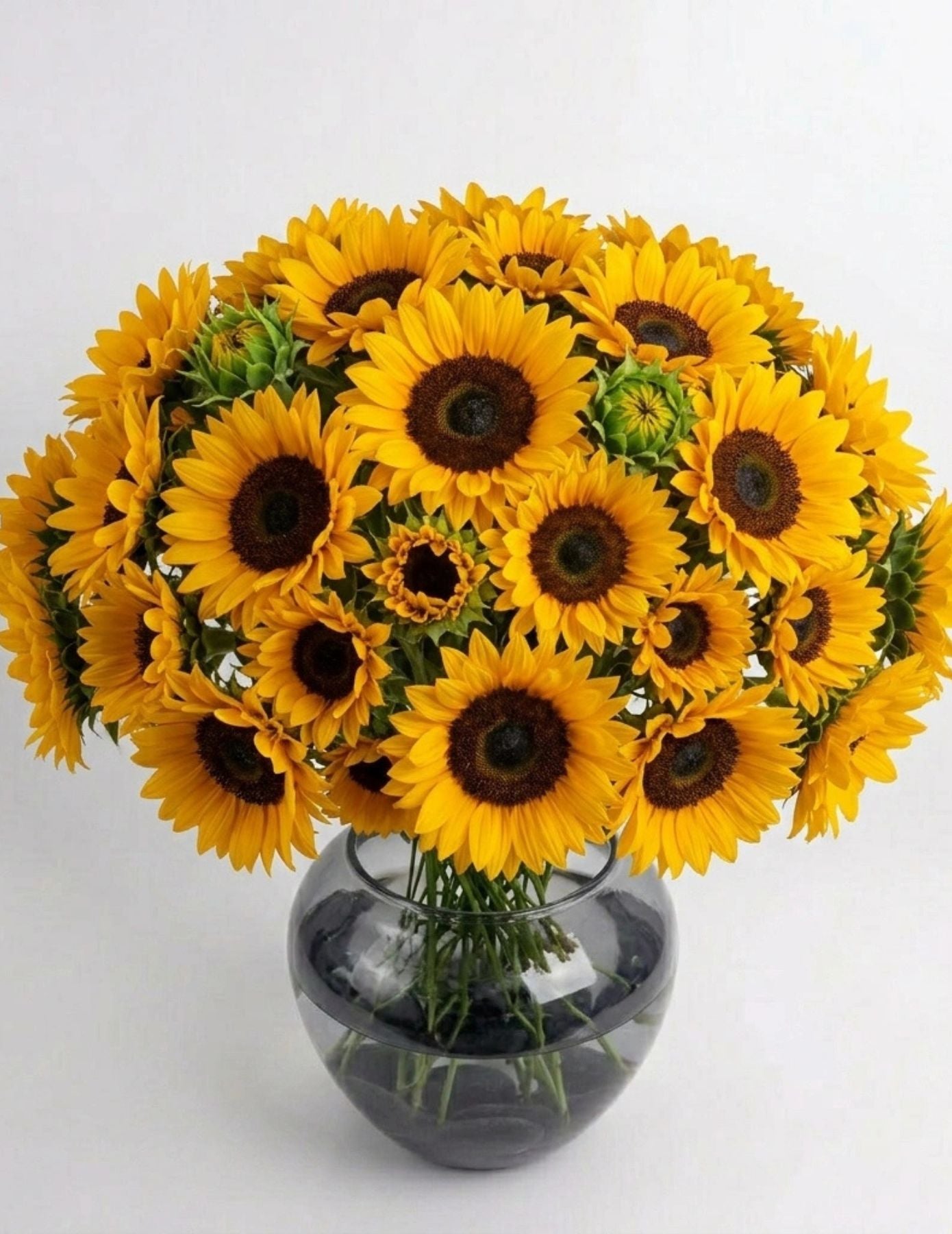 חבילת חמניות🌻